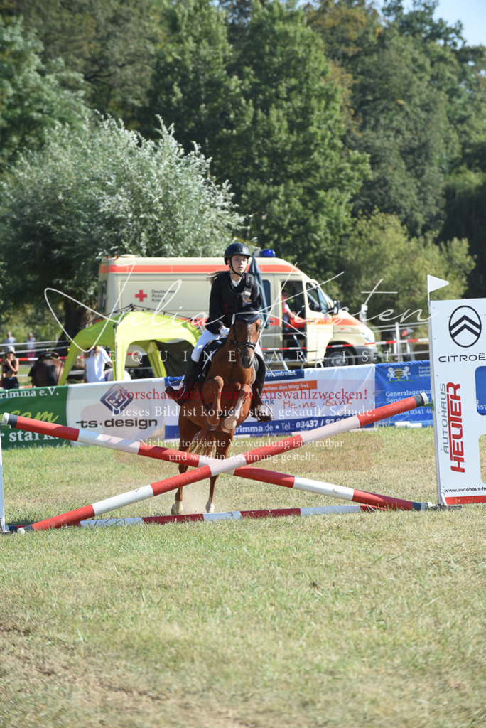 DSC_5914 | Pferde- und Turnierfotografie in Westsachsen. Pferdeportraits, Auftragszeichnungen und intuitive Kunst.