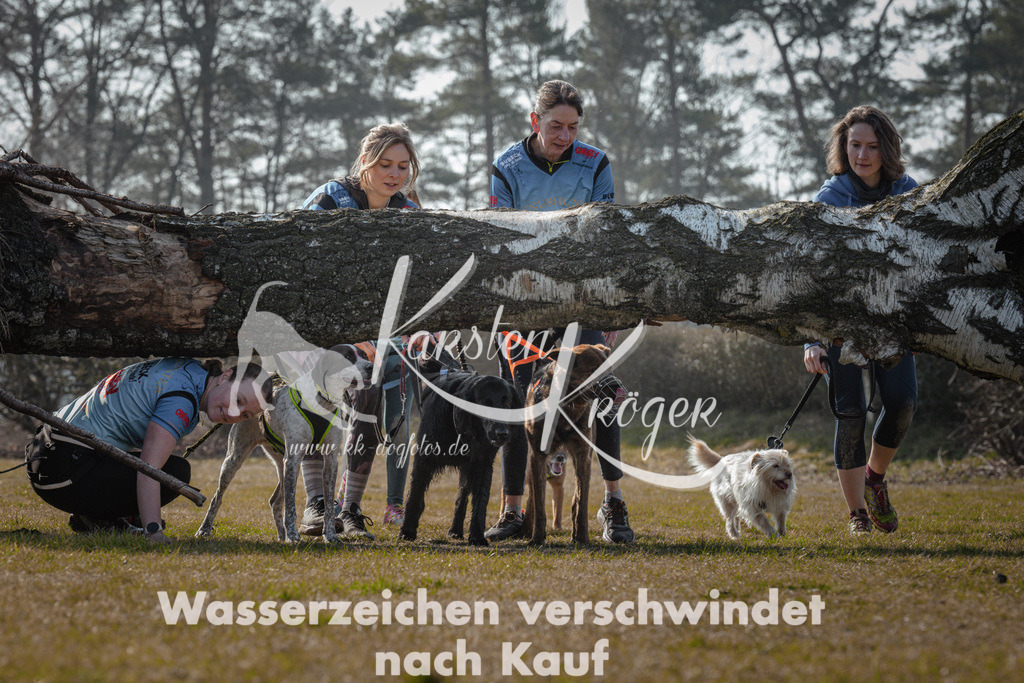 1109_ZZ94710 | kk-dogfotos