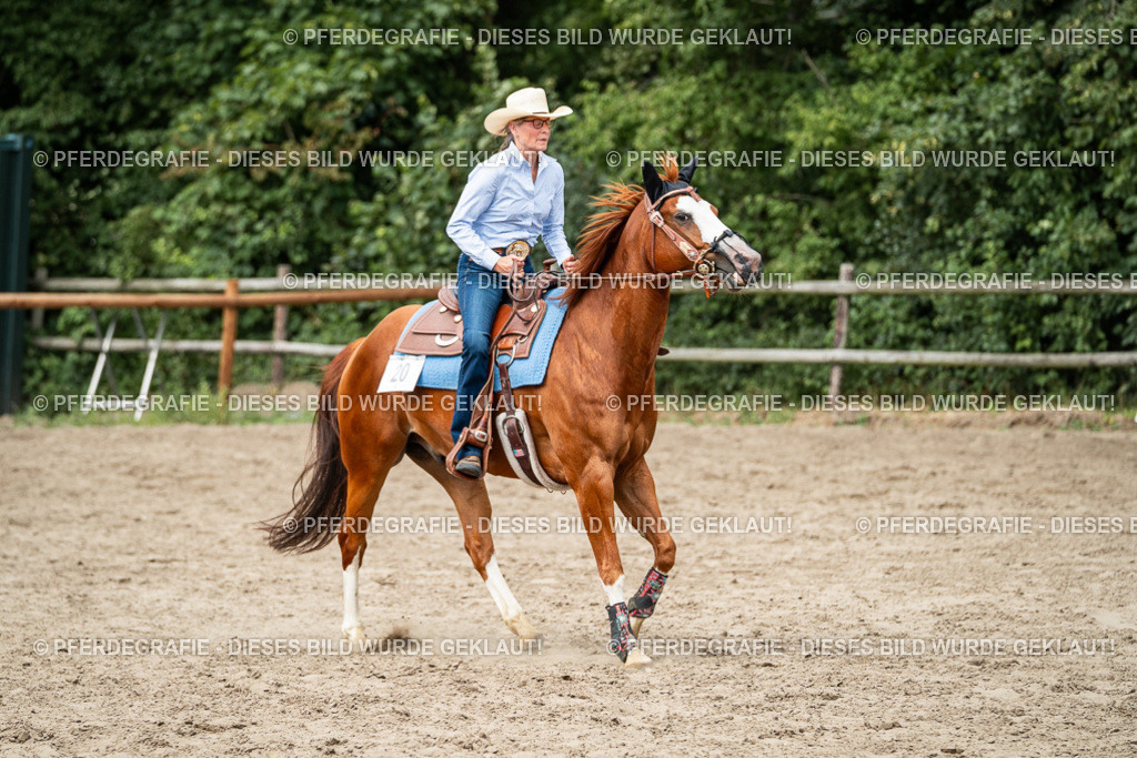 DSC02373 | Pferdegrafie