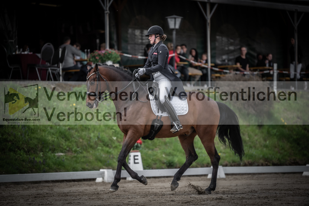 DSC_2462 | equestrian-live-com