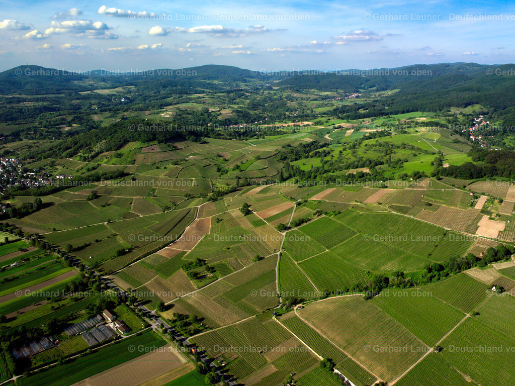 2598031 | Blick auf die Weinberge zw. Unterhambach und Gronau