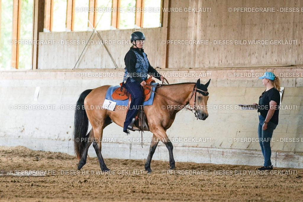 DSC05134 | Pferdegrafie