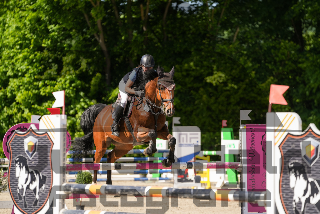 DSC02425 | Julian Held Fotografie - Realisiert mit Pictrs.com