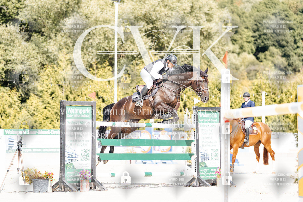 CK908782 | Turnierfotografie Pferdefotografie Trier Rheinland-Pfalz Pferdesport Reitsport Tierfotografie Sportfotografie Pferdevideo Pferdevideografie Equestrianvideography equestrianphotography  - Realisiert mit Pictrs.com