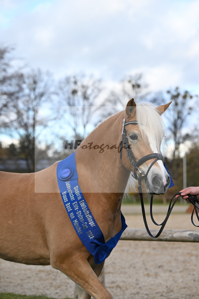 Kat-Nr. 7 Daria v. Armani Ass_Obermaier_60221377 | hf-fotografie - Realisiert mit Pictrs.com