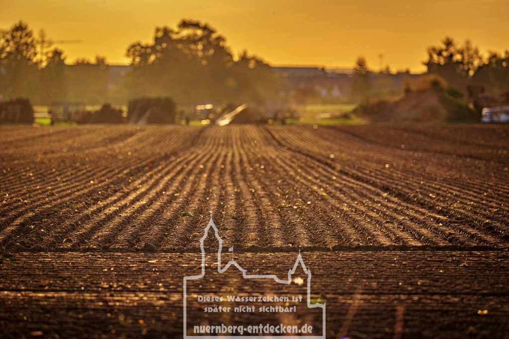 Knoblauchsland Nürnberg-Fürth | Ein geplügter Acker im Knoblauchsland Nürnberg/Fürth während eines organgen Sonnenuntergang. Das Knoblauchsland ist bekannt für seine stadtnahen Gemüseanbau und die Versorgung der Region mit frischen Gemüse. - Realisiert mit Pictrs.com