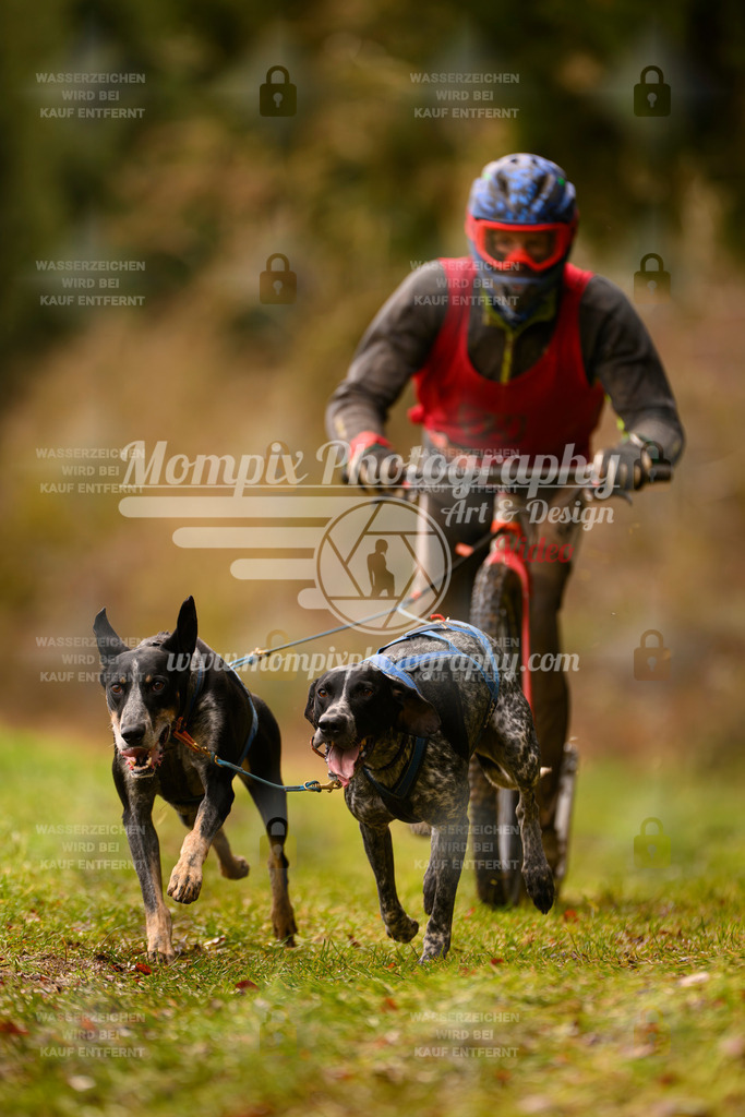 MompixPhotography_2SSTSSBW_2025_SO_Scooter-63 | PayLife