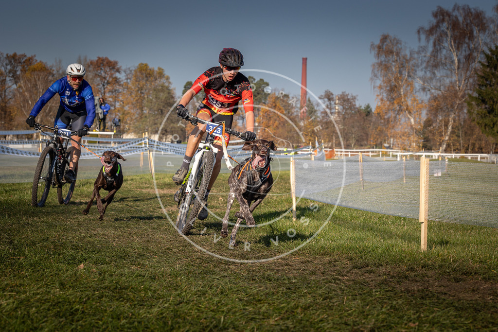 CaniXpix_0L8A6493 | Hundefotografie, Tierfotograf, Pfotenfotografie, Fotoshooting Hund, Hunde Portrait, Hundesport, Hundeportraits, Heideshooting, Hunde, Sportfotograf, Hundefotograf, Turnierhundsport, THS,  - Realisiert mit Pictrs.com