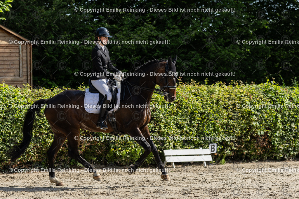 CL5A7295 | Emilia Reinking Fotografie - Realisiert mit Pictrs.com