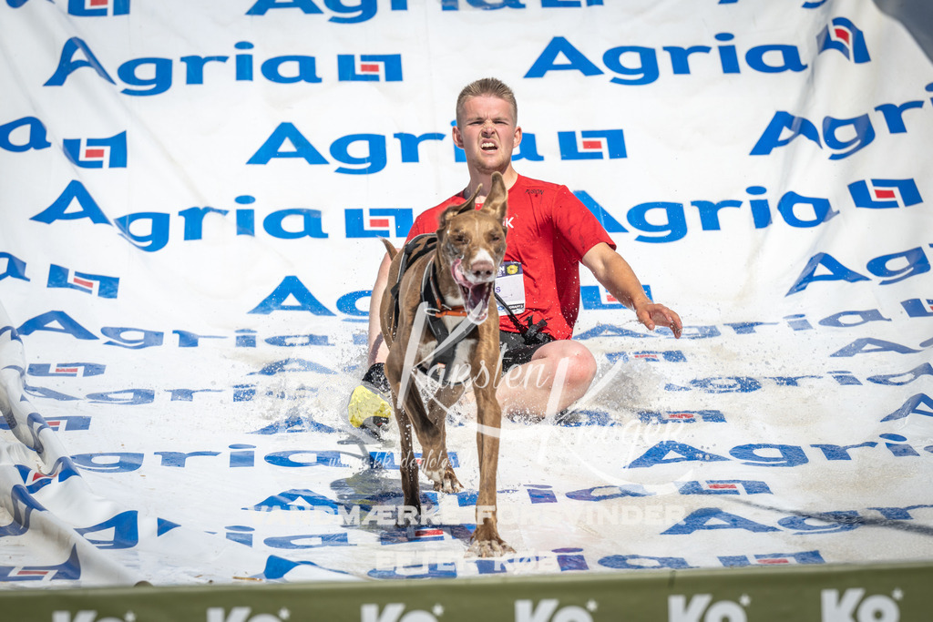 1406_ZZ92458 | kk-dogfotos