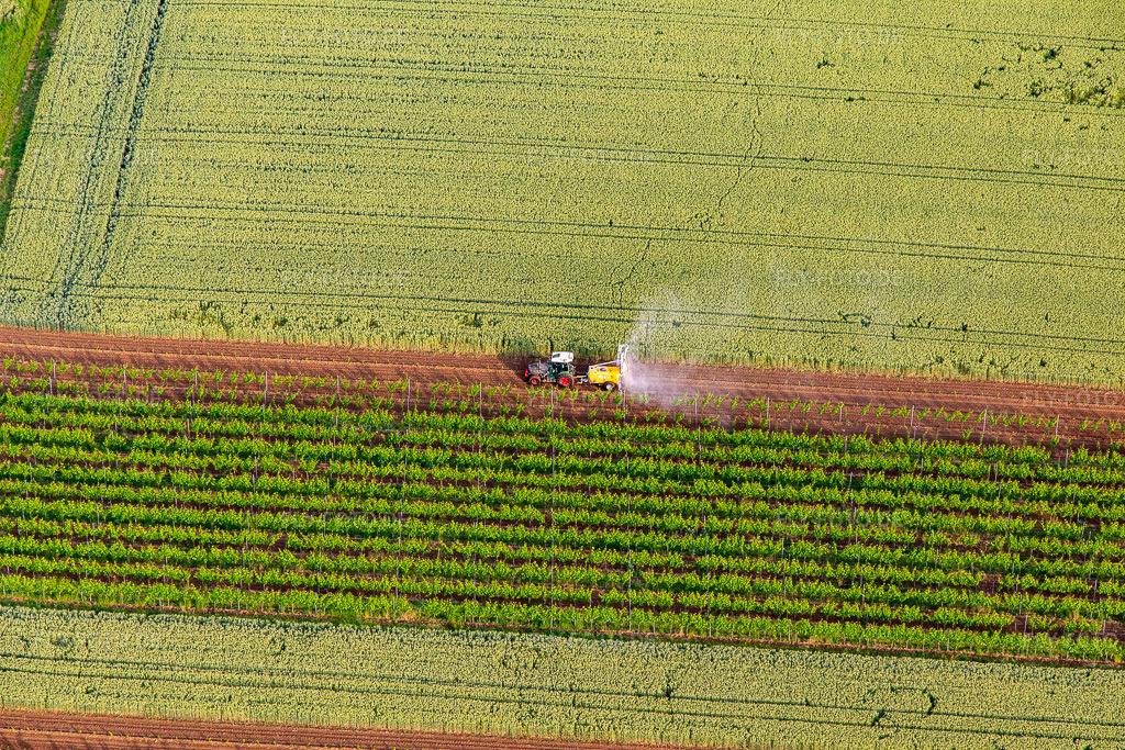 Luftbild: Traktor spritzt Weinreben mit Pflanzenschuztmittel im Ortsteil Ingenheim in Billigheim-Ingenheim im Bundesland Rheinland-Pfalz in Deutschland. Foto: IMG_141745.jpg vom 18.06.2024 durch Werner Riehm/FLY-FOTO.de