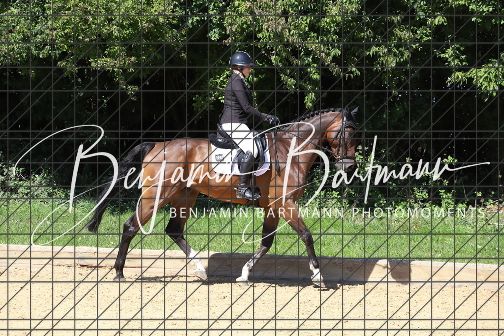 IMG_6596 | Benjamin Bartmann Photomoments