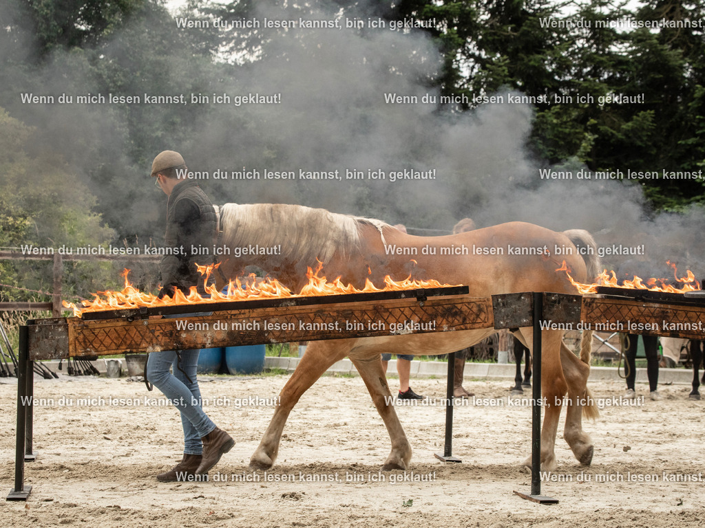 598A6670 | photographylinaismer - Realisiert mit Pictrs.com