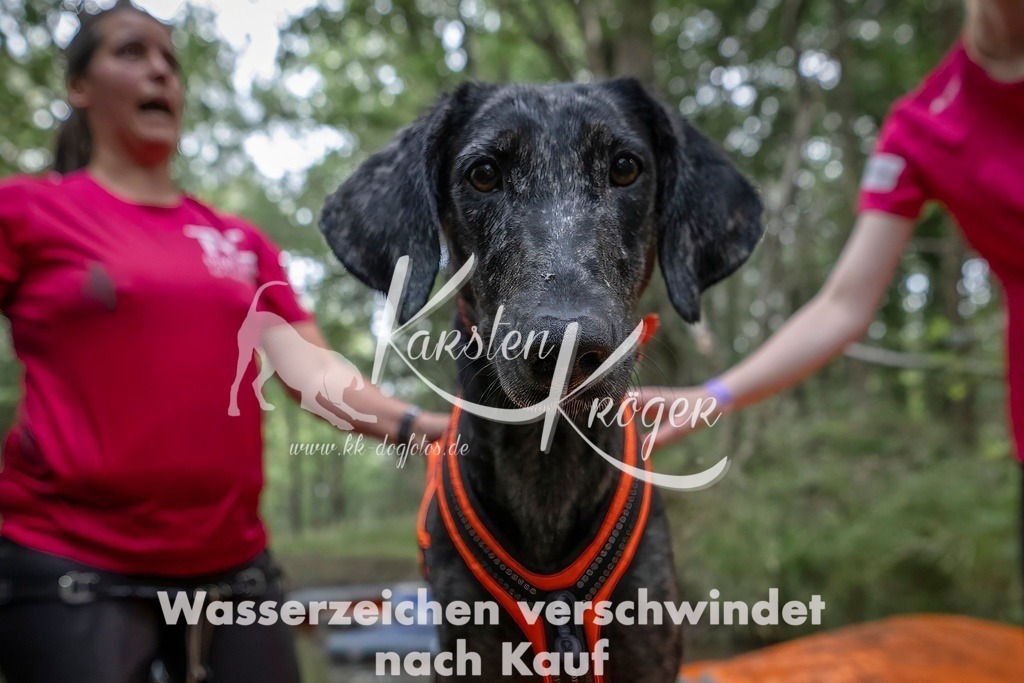 0902_ZZ90144T | kk-dogfotos