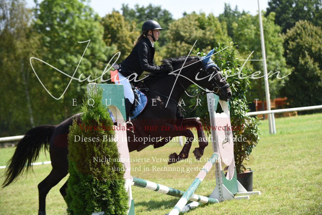 DSC_0041 | Pferde- und Turnierfotografie in Westsachsen. Pferdeportraits, Auftragszeichnungen und intuitive Kunst.