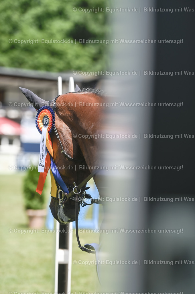 20230529_18_CSI4_Obermayr_0166 | equistock