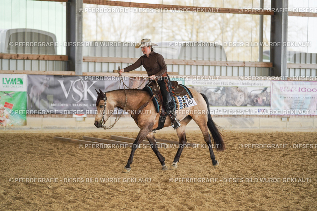 DSC00205 | Pferdegrafie