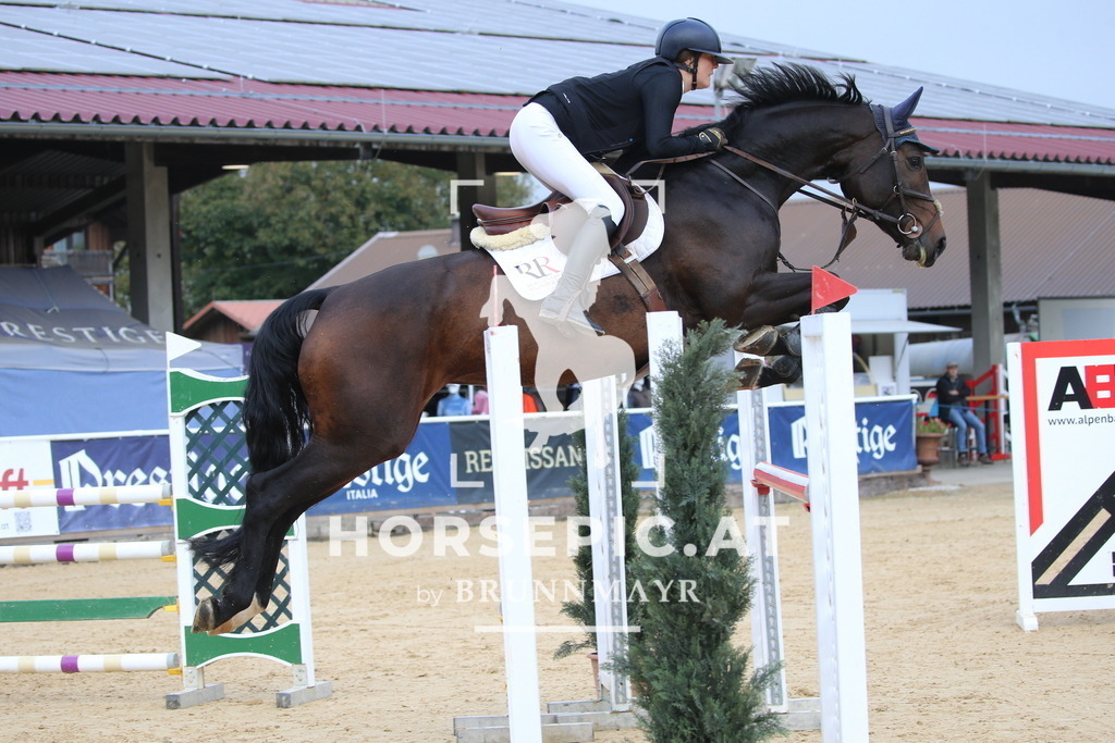 DL2Q0181 | Willkommen bei Brunnmayr - Design & Fotografie – Ihrem Spezialisten für Reitturniere und Pferdeveranstaltungen in Oberösterreich, Salzburg und Bayern! Seit über 17 Jahren sind wir leidenschaftlich dabei.