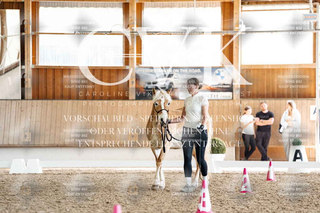CK908579 | Turnierfotografie Pferdefotografie Trier Rheinland-Pfalz Pferdesport Reitsport Tierfotografie Sportfotografie Pferdevideo Pferdevideografie Equestrianvideography equestrianphotography  - Realisiert mit Pictrs.com