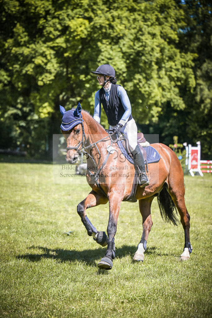 DOS_3859 | Entdecke hochwertige Reitturnierfotos von Foto Oger. Professionell, emotional und authentisch – jetzt Lieblingsmomente im Shop bestellen.Deutschlandweite Turnierfotografie. - Realisiert mit Pictrs.com
