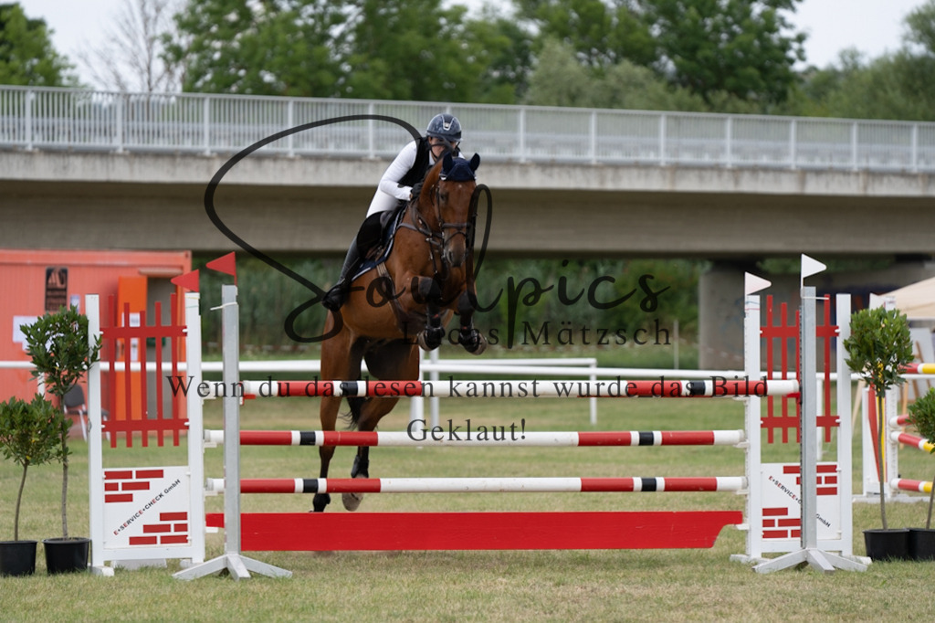 A7V02418 | Pferdefotograf