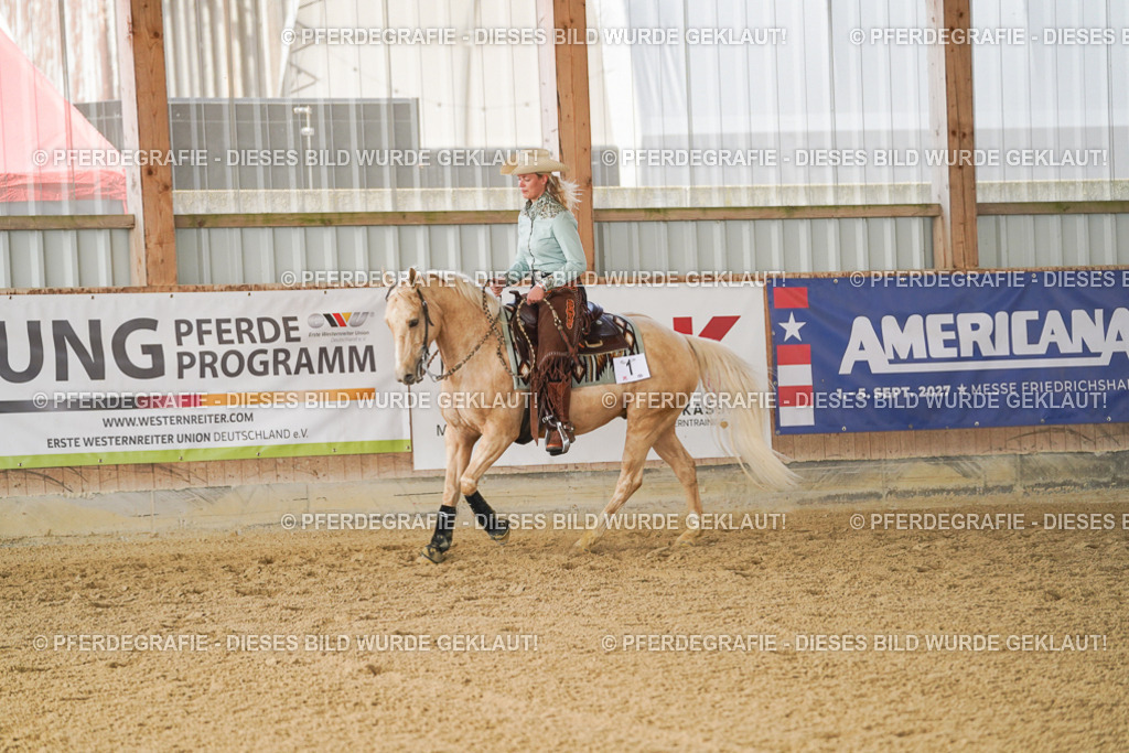 DSC01160 | Pferdegrafie