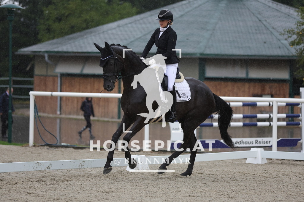 0P6A0469 | Willkommen bei Brunnmayr - Design & Fotografie – Ihrem Spezialisten für Reitturniere und Pferdeveranstaltungen in Oberösterreich, Salzburg und Bayern! Seit über 17 Jahren sind wir leidenschaftlich dabei.