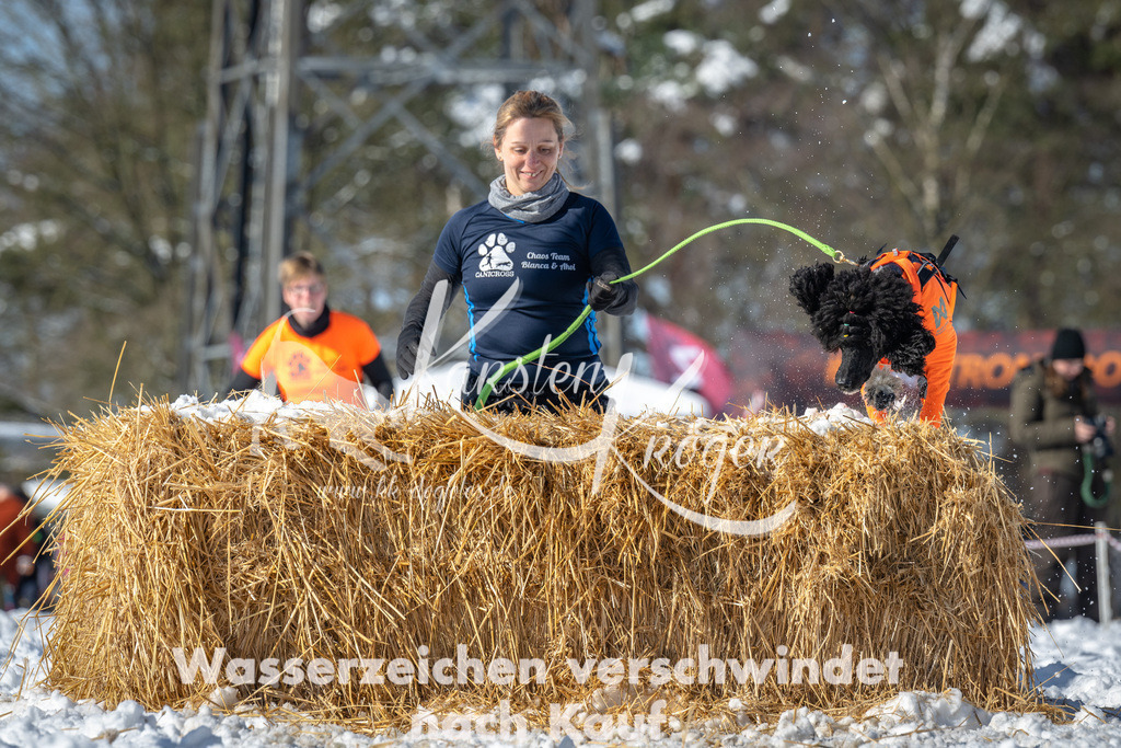 1126_ZZ92108-3 | kk-dogfotos