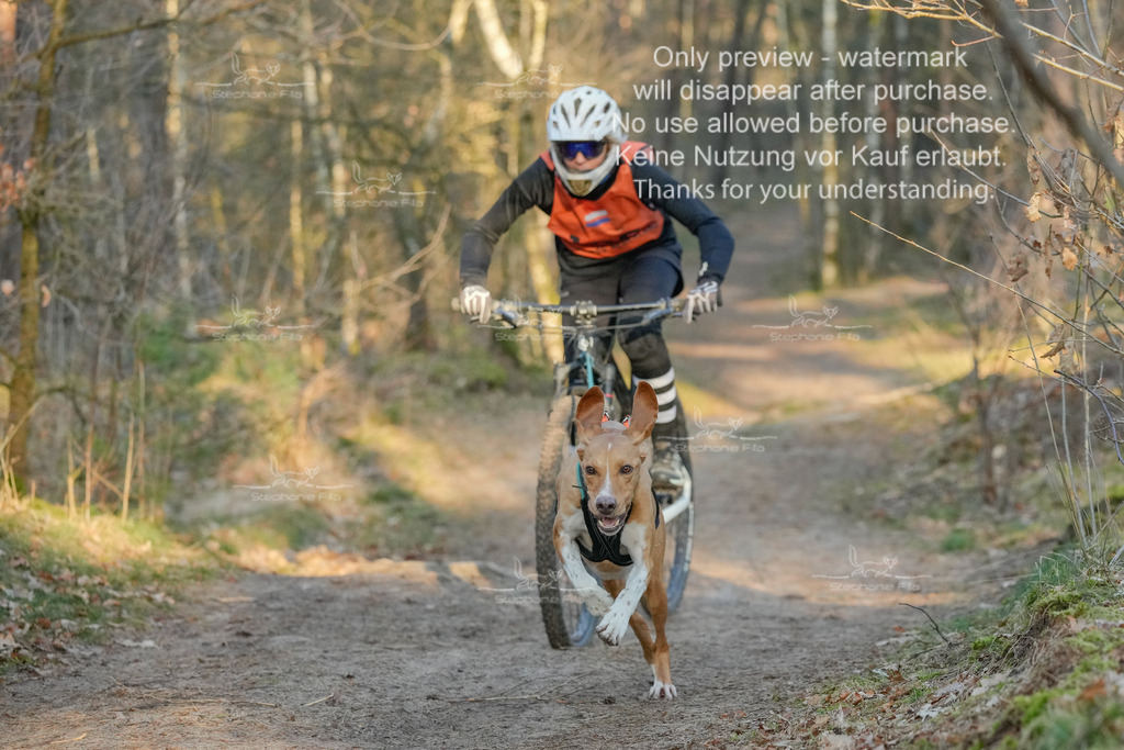 Sa_Bike-324 | stephaniefillaphotographie - Realisiert mit Pictrs.com