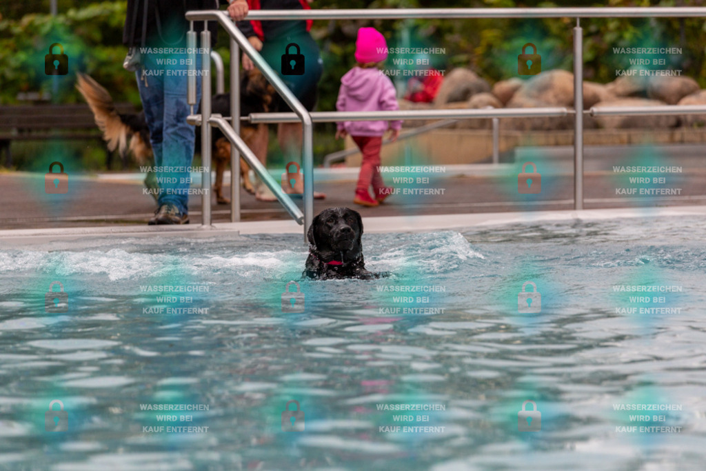 _HP_6297_1000o | HetPix, HetPix Fotodesign, Fotografie, Fotodesign, Webshop, Sportfotografie, Portraitfotografie, Onlineshop, Sportfotografie, Polch, Motorsportfotografie, Eventfotografie