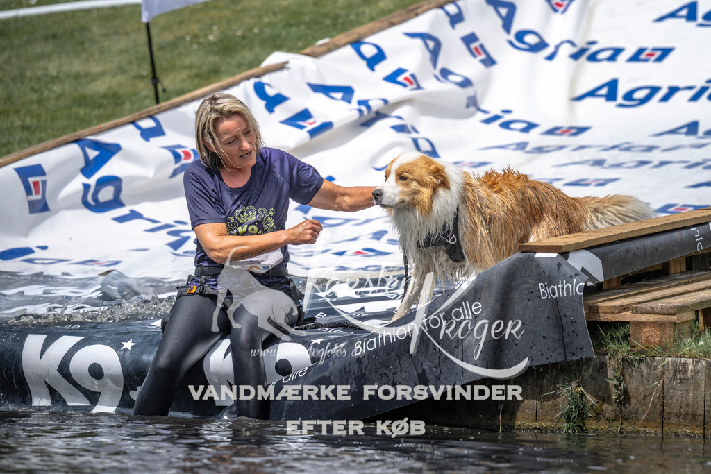 1153_ZZ94192 | kk-dogfotos