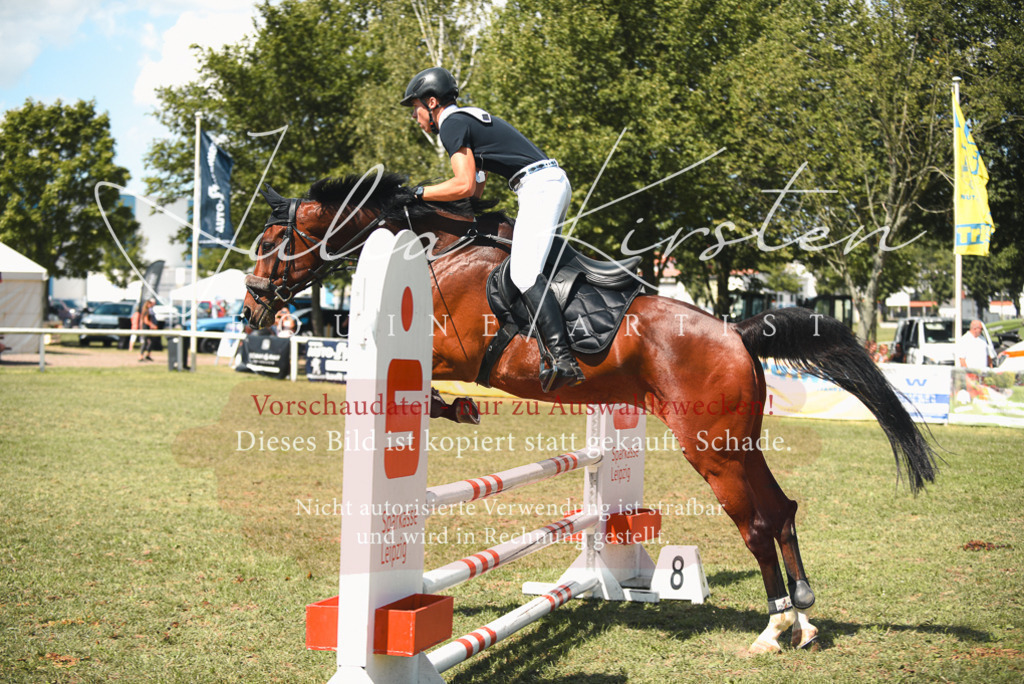 DSC_6637 | Pferde- und Turnierfotografie in Westsachsen. Pferdeportraits, Auftragszeichnungen und intuitive Kunst.