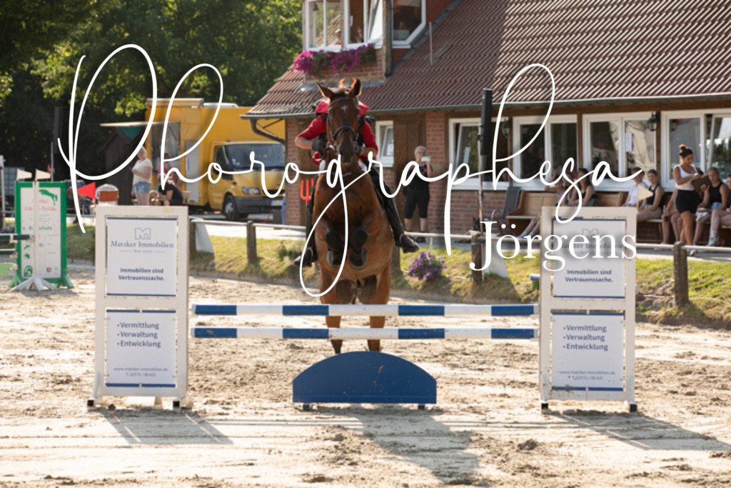 IMG_3472 | photographesa-joergens - Realisiert mit Pictrs.com