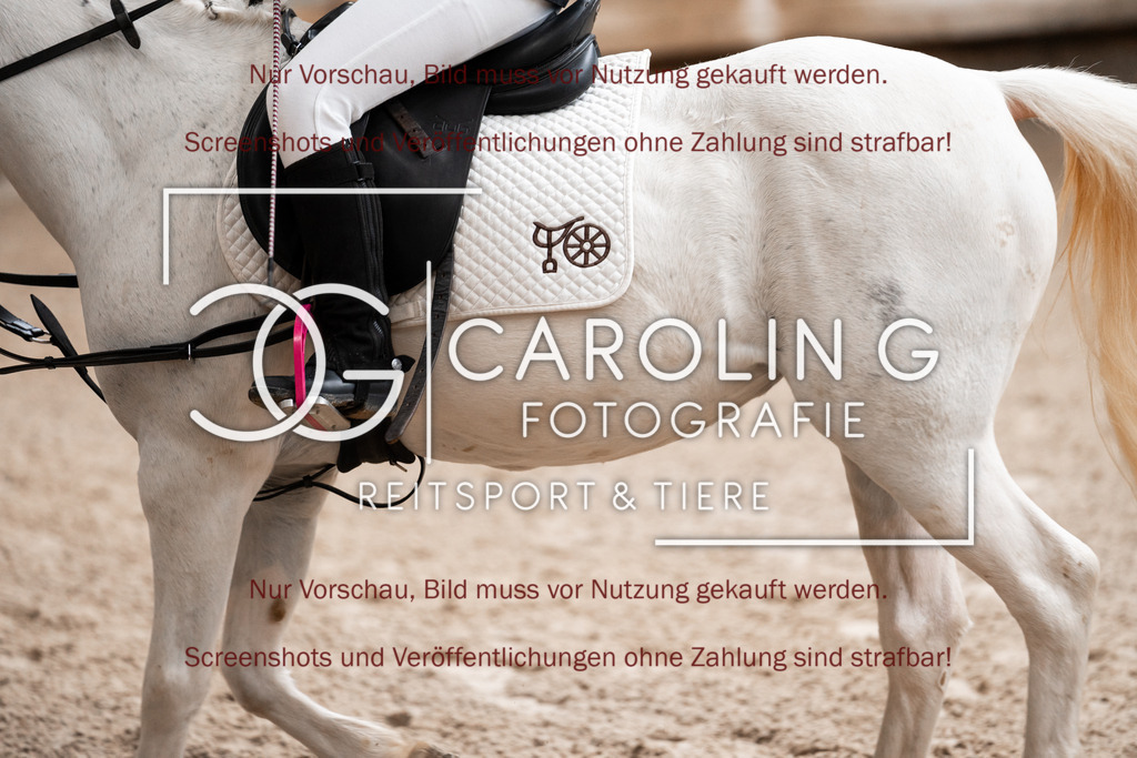 DSC05832 | Turnierfotografin Carolin Gieschke, Turnierfotografie Carolin G Fotografie, Turnierfotos Kirchheim/Teck, Esslingen, Stuttgart, Bodenseekreis