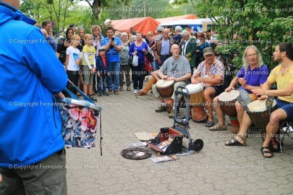 IMG_5046 | aragon-pics - Realisiert mit Pictrs.com