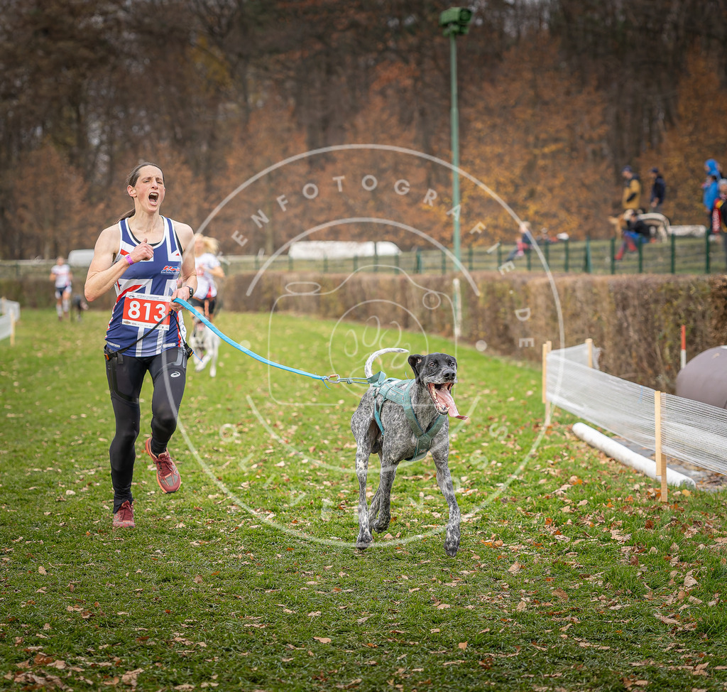 CaniXpix_DV3A6242 | Hundefotografie, Tierfotograf, Pfotenfotografie, Fotoshooting Hund, Hunde Portrait, Hundesport, Hundeportraits, Heideshooting, Hunde, Sportfotograf, Hundefotograf, Turnierhundsport, THS,  - Realisiert mit Pictrs.com