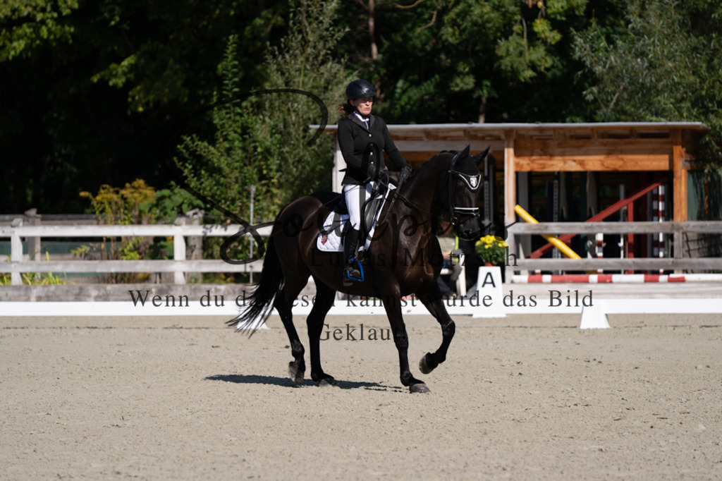 A7V06980 | Turnier/Reitfotograf