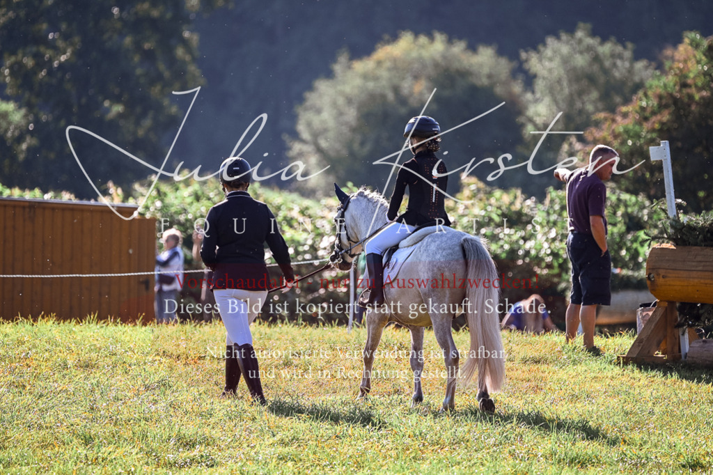 DSC_0424 | Pferde- und Turnierfotografie in Westsachsen. Pferdeportraits, Auftragszeichnungen und intuitive Kunst.