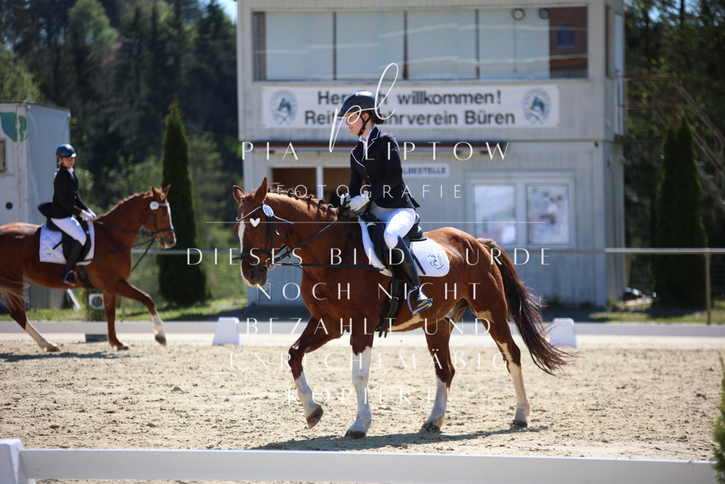 IMGT0294 | pl-fotografie