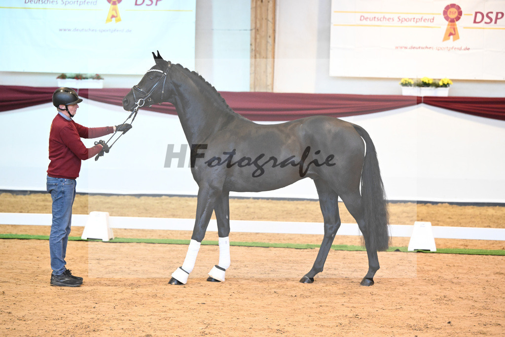 Kat-Nr. 8 v. Bon Courage_Maier_66220140 | hf-fotografie - Realisiert mit Pictrs.com
