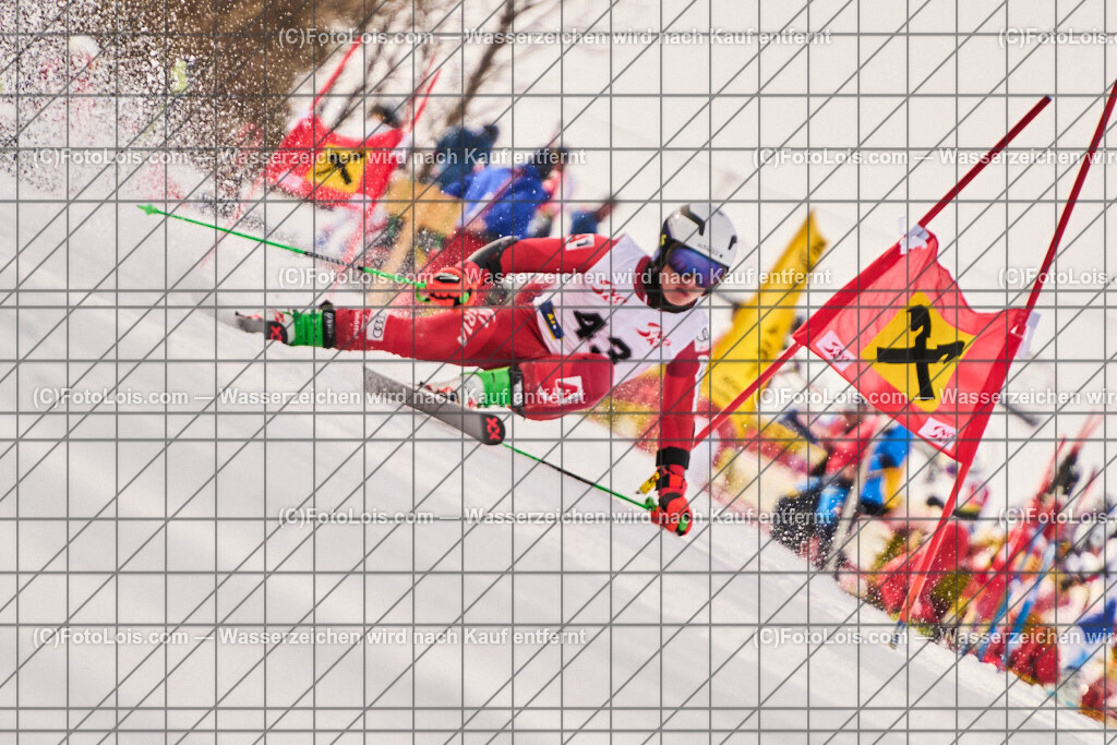 ALP8222_Herrn-FIS-GS-I_Lackenhof-WY_Berkmann Philipp | Internationaler FIS GiantSlalom der Herrn auf der Distelpiste in Lackenhof am Mo 10. März 2025.  Österreich, LSV-NÖ, Sportunion Waidhofen/Ybbs (2035).