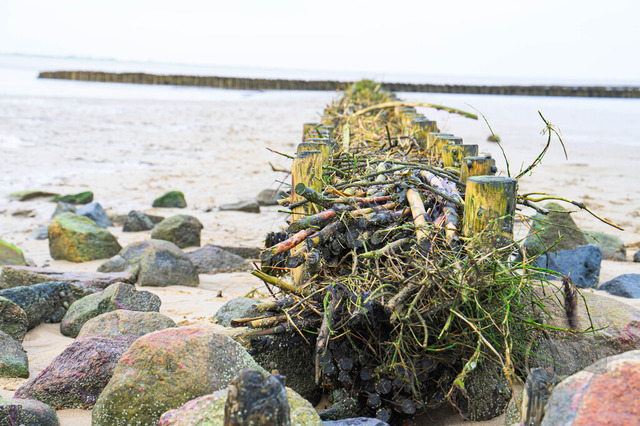 _DSC9065 | Shop für Prints Landschaftsfotografie Sächsische Schweiz Naturfotografie in Thüringen Fotos vom Findlingspark Nochten Kloster Sankt Marienstern Bilder Festung Königstein PanoramaRhododendronpark Kromlau FotogalerSchleswig-Holstein Küstenlandschaften