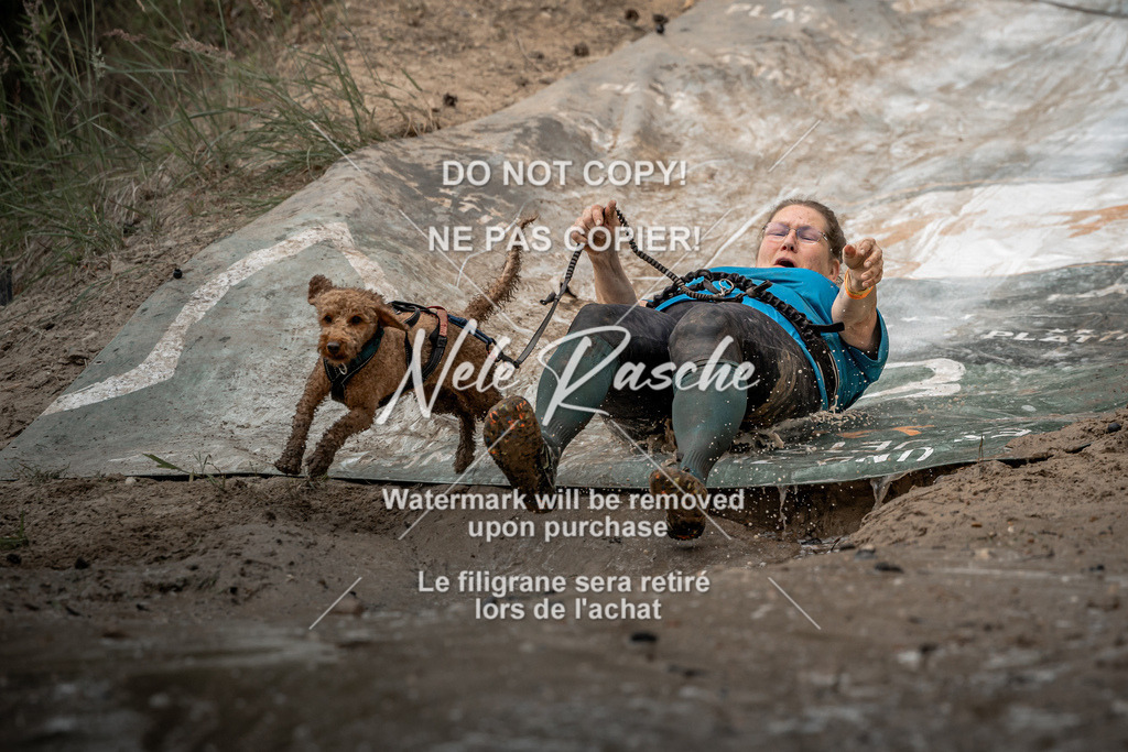 nelerasche_sa1530-1600_258 | nelerasche