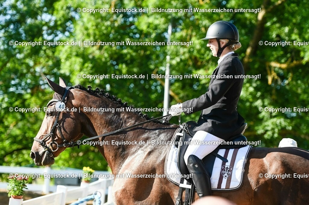 20230715_06_Dressurpferdeprfg. Kl.A_0033 | equistock