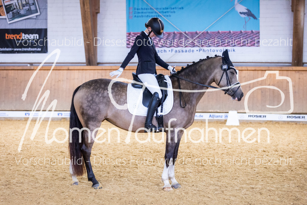 Sth-A-Dre-2St-011 | MomenTaufnahmen Pferdesportfotos