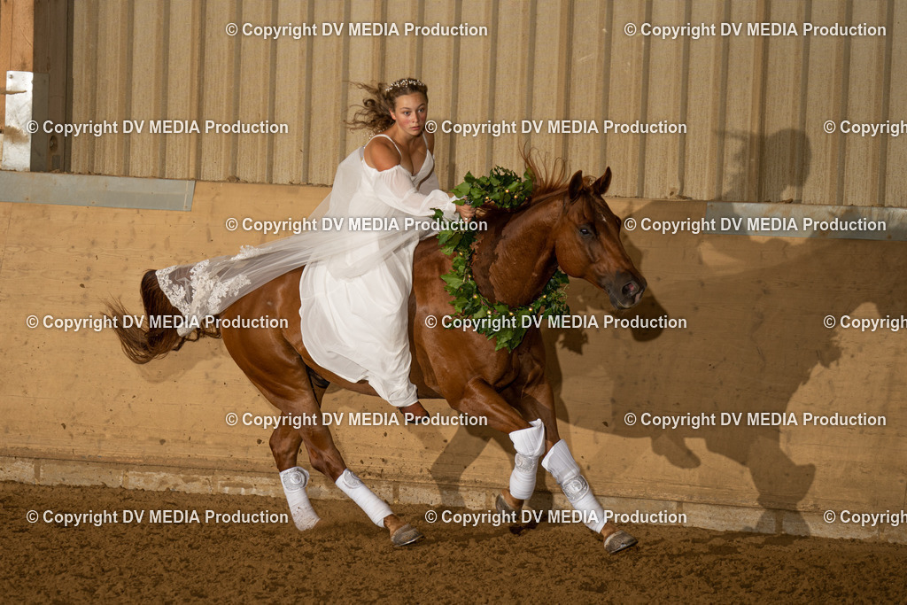 LAU01199 | dv-media-shop - Realisiert mit Pictrs.com