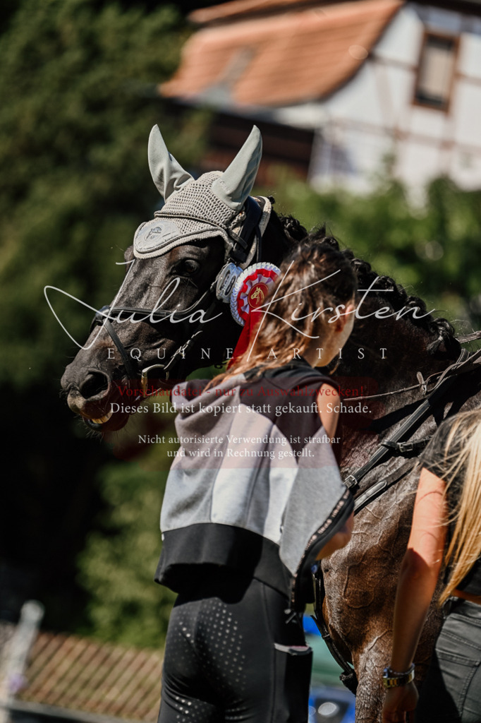 DSC_2620 | Pferde- und Turnierfotografie in Westsachsen. Pferdeportraits, Auftragszeichnungen und intuitive Kunst.