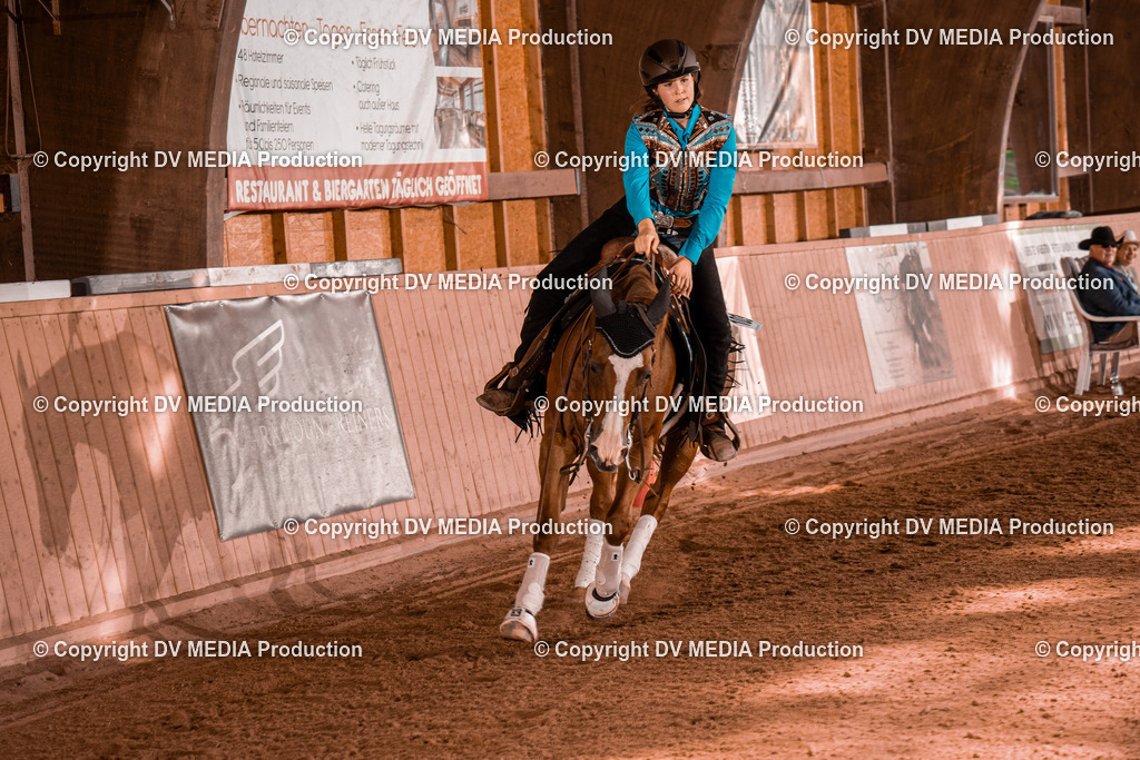 NE201135 | dv-media-shop - Realisiert mit Pictrs.com