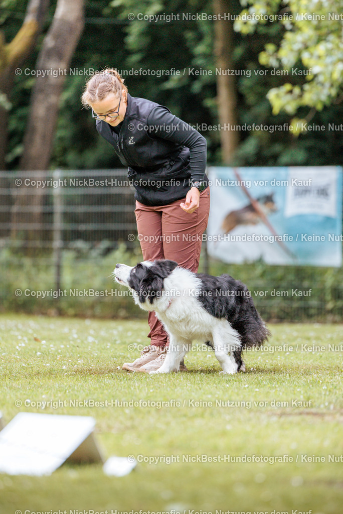 RO-Blumenthal-2026-Nickbest-Hundefotografie-2274 | Dein Hund! Dein Moment! Deine Erinnerungen! Hundefotografie in Bremen Blumenthal. Ich fange die besonderen Momente deines Vierbeiners ein – ob Indoor mit Blitzanlage oder in der freien Natur. Sicher dir dein Moment und dein Termin für eure Erinnerungen.