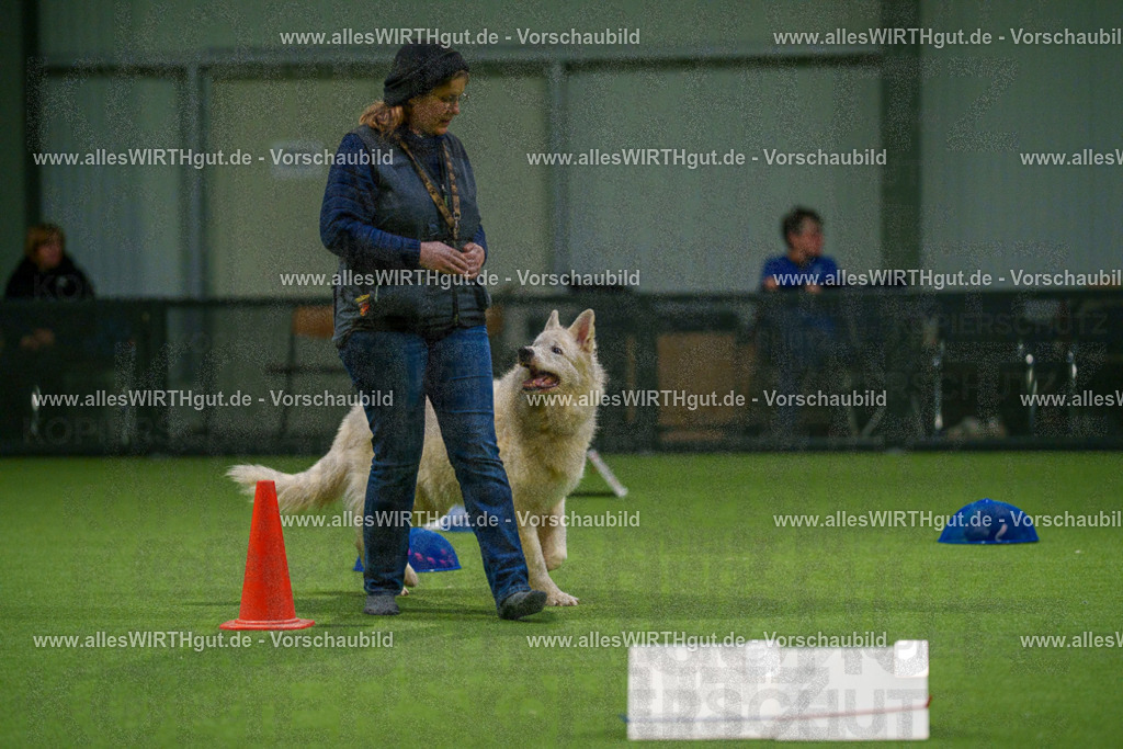 7R504213 | Professionelle Tierfotografie in Mönchengladbach von Daniel Wirth (allesWIRTHgut). Liebevolle & natürliche Bilder von Hunden & Katzen für unvergessliche Erinnerungen.